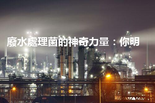 廢水處理菌的神奇力量：你明白它們有多厲害嗎？